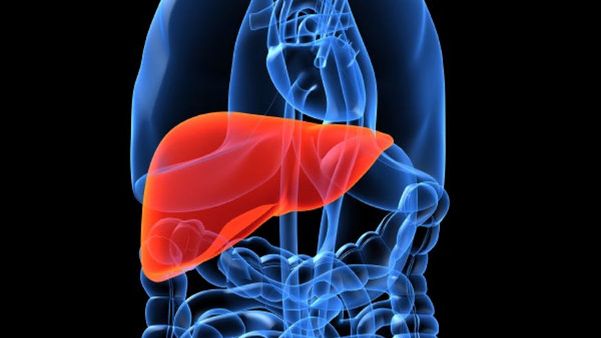 Liver istock.jpg